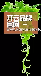 开云品牌官网 - 综合核心频道 - 实时信息入口