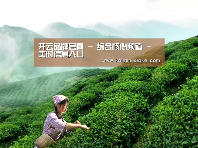 开云品牌官网 - 综合核心频道 - 实时信息入口